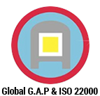 Cung cấp hóa chất bảo trì lò hơi cho công ty Cổ phần DOMENAL